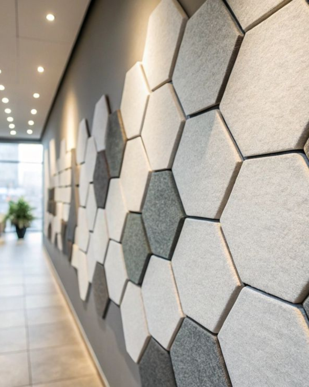 Wall Acoustics & Decor